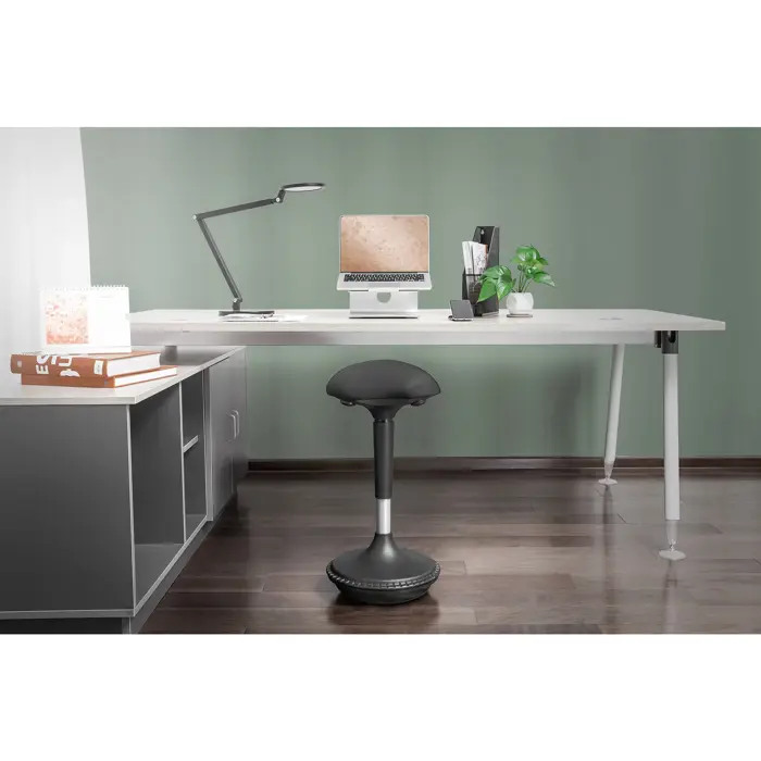 Digitus Ergonomic Office Stool / Standing Aid DA-90422, Chair (black, height adjustable, for more dynamic sitting / standing)