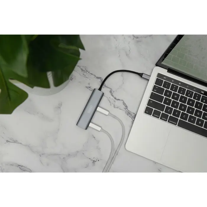 Digitus USB-C 4-Port (silver)