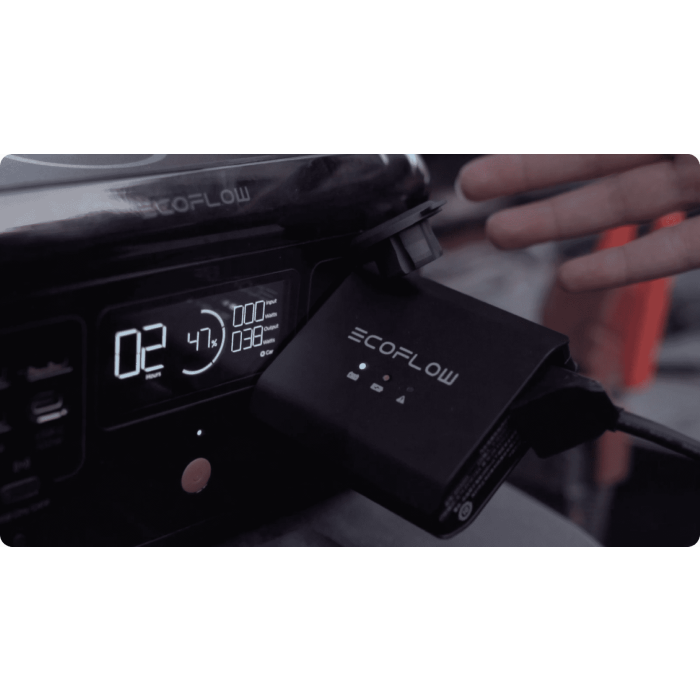 Ecoflow smart automatic car battery charger 12/24V