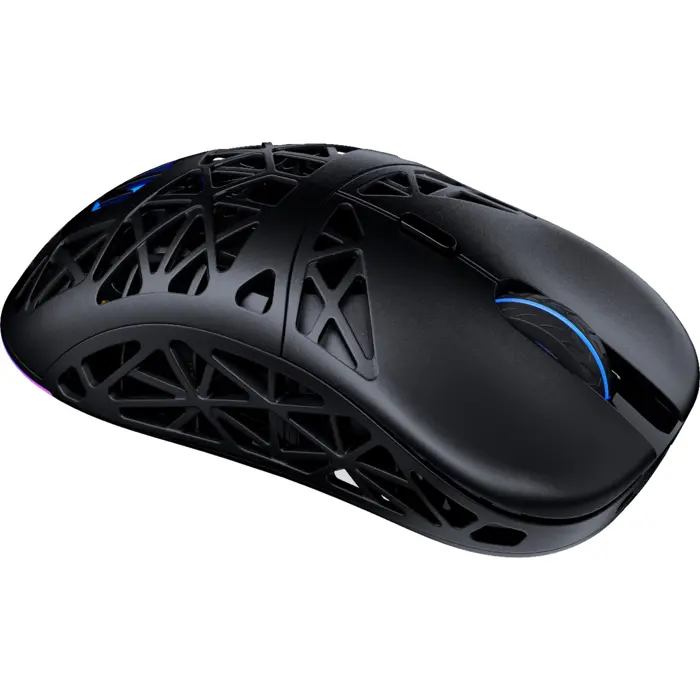 ENDORFY LIV Plus Wireless, gaming mouse (black, including charging station)