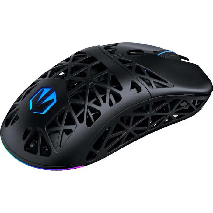 ENDORFY LIV Plus Wireless, gaming mouse (black, including charging station)