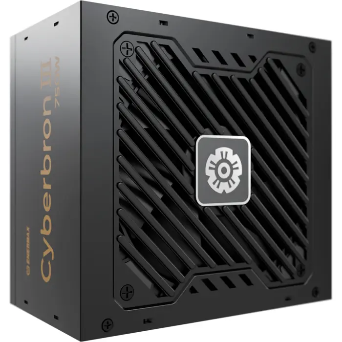 Enermax CYBERBRON III 750W (1x 12-pin high power GPU, 2x PCIe, 750 watts)
