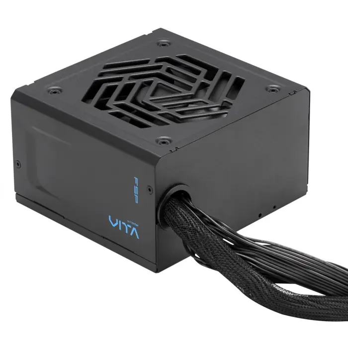 FSP VITA BD 550W, PC power supply (2x PCIe, 550 Watt)