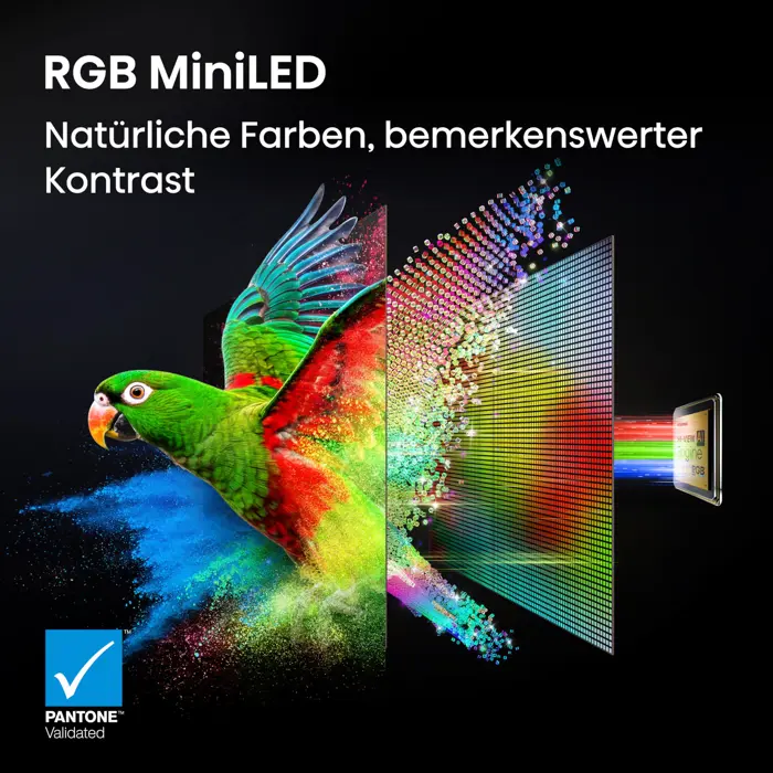 Hisense 75UR8DS RGB MiniLED (191 cm (75 inch))