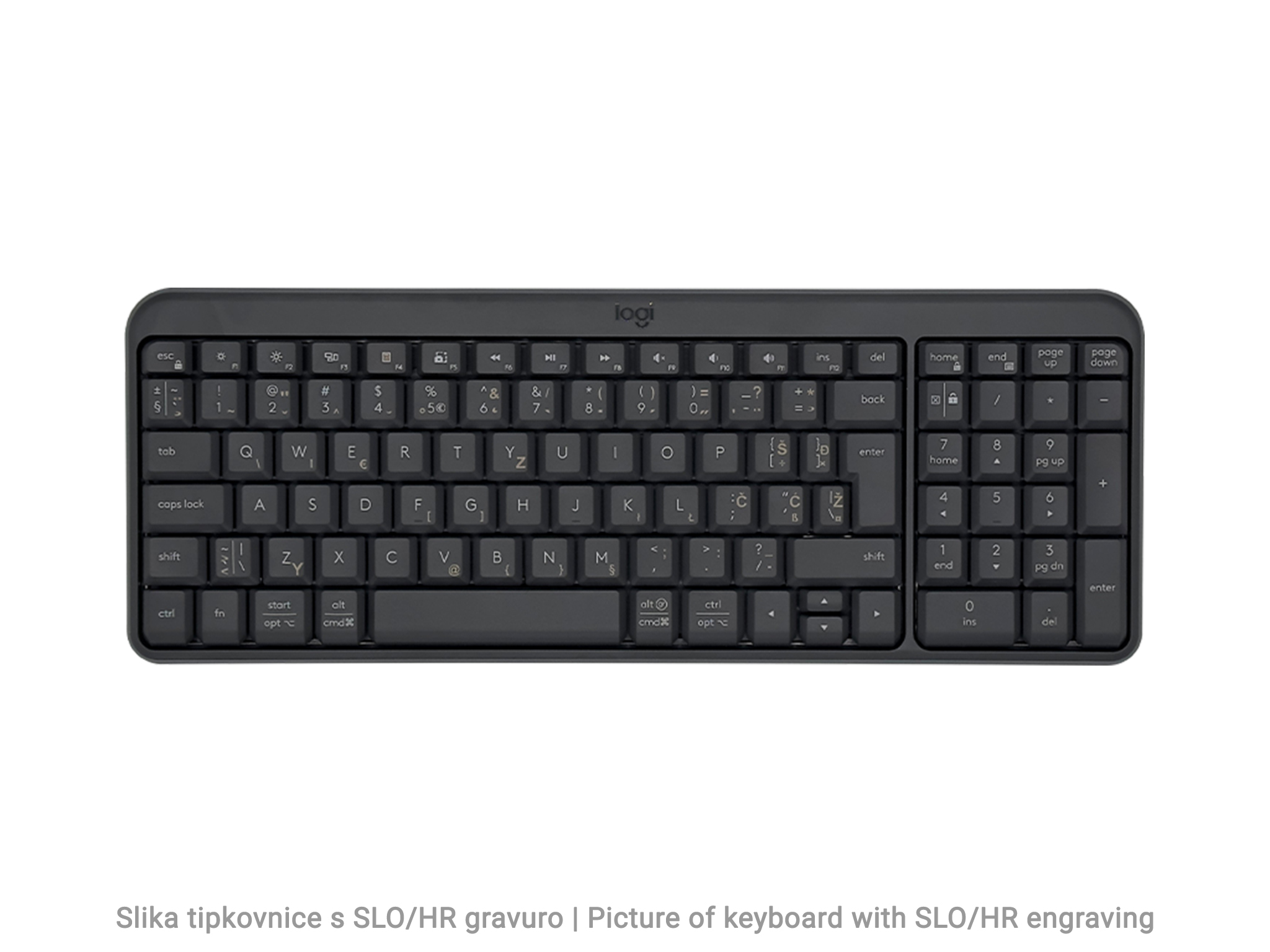 Tipkovnica Logitech K250, Bluetooth, SLO g. - 920-013451