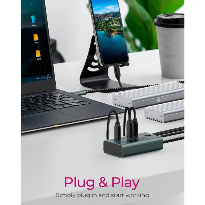 ICY BOX IB-HUB1454-C31, USB hub