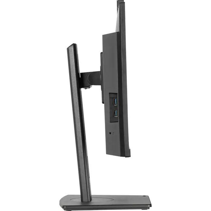 Iiyama ProLite XUB2490HSUH-B2 - 24 - black (matt), FullHD, IPS, webcam, microphone, USB hub, 100Hz panel