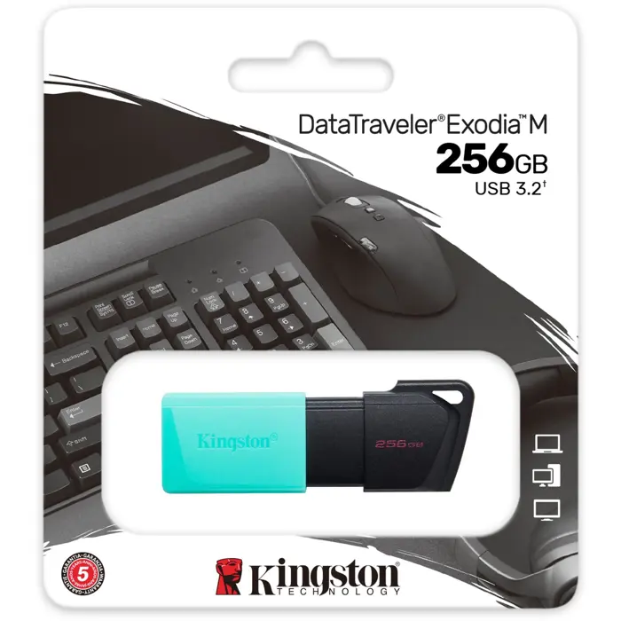 Kingston DataTraveler Exodia M 256 GB, USB stick (turquoise/black, USB-A 3.2 Gen 1)