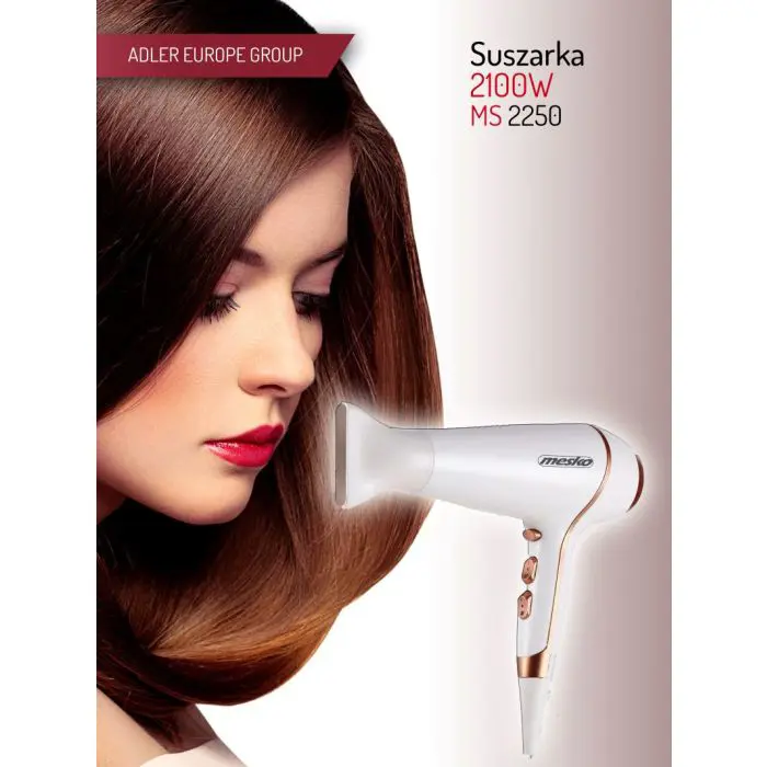 Mesko hair dryer MS2250 2100W