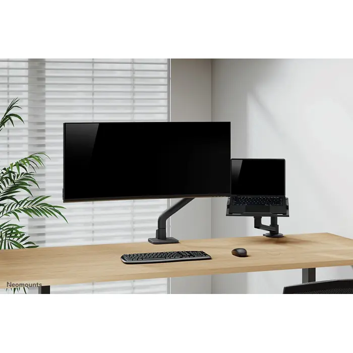 Neomounts desk monitor arm