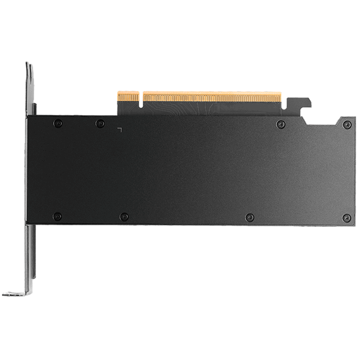 NVIDIA RTX 2000 PRO Blackwell PCI-Express x16 Gen 4.0, Dual Slot, 16 GB GDDR6 ECC 128-bit, HDCP 2.2 and HDMI 2.0 support with opt. Adapter