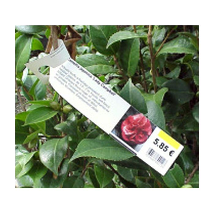 oki-label-3018_1.jpg