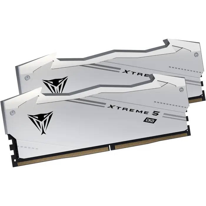 Patriot DDR5 - 48GB - 9600 - CL - 46 (2x 24 GB) Dual Kit, RAM silver, VX548G9646CK, Viper Xtreme 5 CKD, INTEL XMP