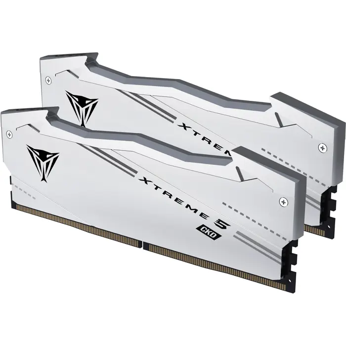 Patriot DDR5 - 48GB - 9600 - CL - 46 (2x 24 GB) Dual Kit, RAM silver, VX548G9646CK, Viper Xtreme 5 CKD, INTEL XMP