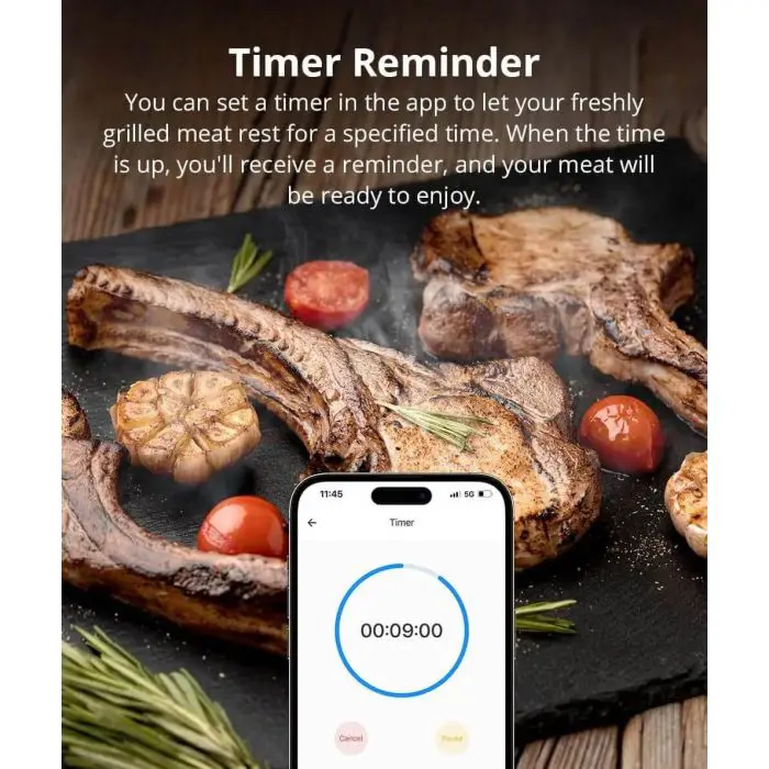 Sonoff Termometer for Meat BMT01