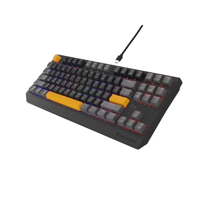 THOR 230 | Mechanical Gaming Keyboard | Wired | US | Anchor Gray Positive | USB Type-A | Outemu Red