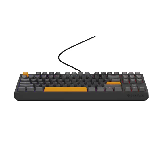 THOR 230 | Mechanical Gaming Keyboard | Wired | US | Anchor Gray Positive | USB Type-A | Outemu Red
