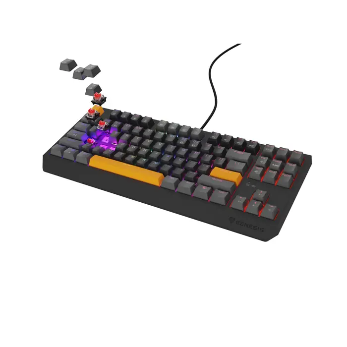 THOR 230 | Mechanical Gaming Keyboard | Wired | US | Anchor Gray Positive | USB Type-A | Outemu Red