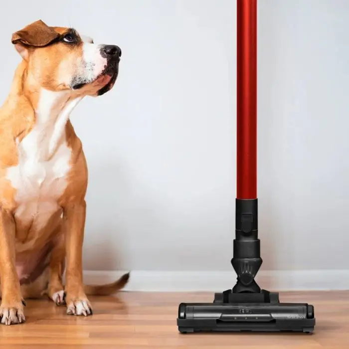 Ufesa upright vacuum cleaner kalahari
