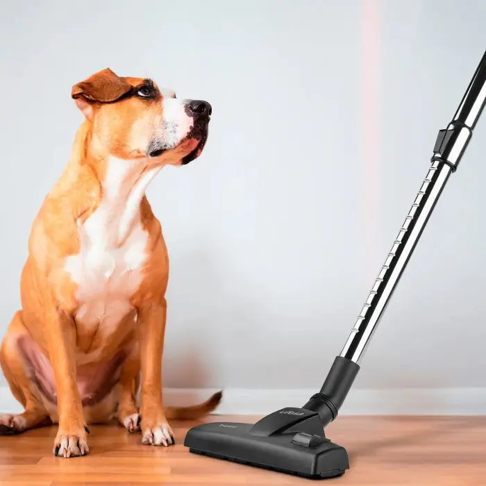 Ufesa wire upright vacuum cleaner Tropical 600W