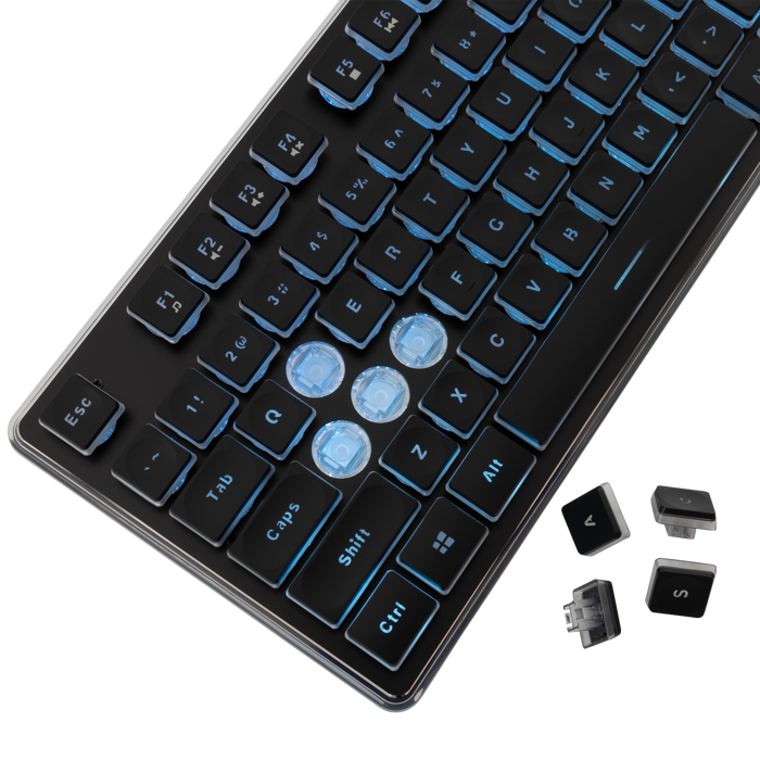 WHITE SHARK gaming tipkovnica GK-003141 TACHI crna