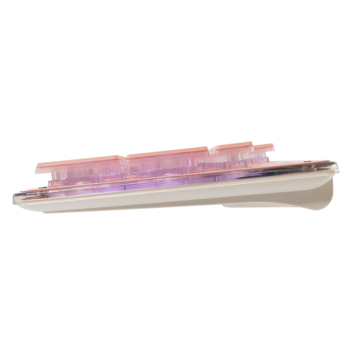 WHITE SHARK gaming tipkovnica GK-003141 TACHI roza