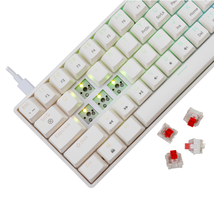 WHITE SHARK gaming tipkovnica GK-004211 SHINOBI-2 bijela crv.sw. US